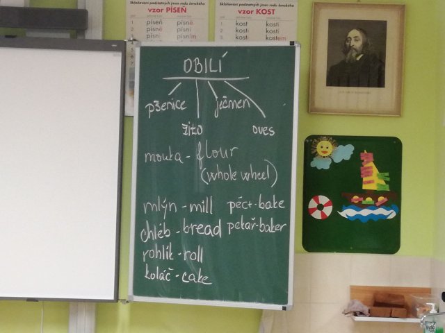 06_Od zrna po chléb